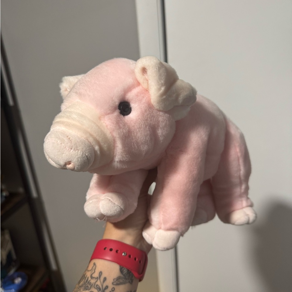 Aurora pig